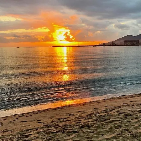 شقة : Superbe Dans Neuve أجاكسيو