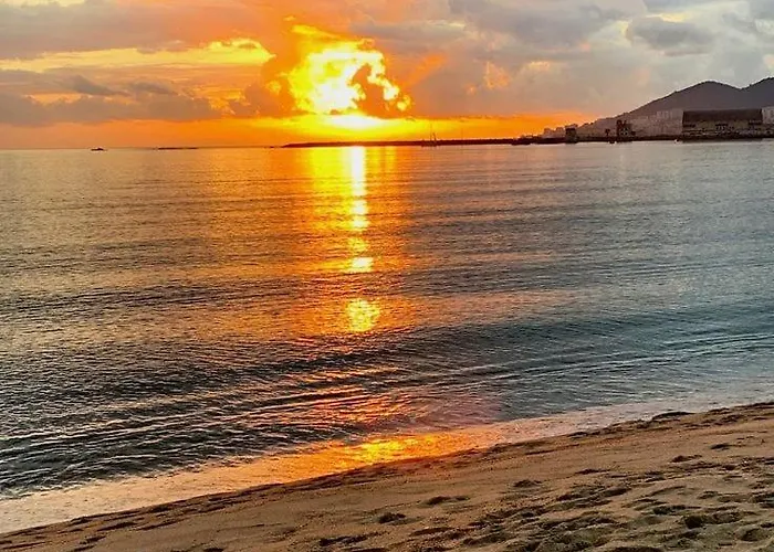 شقة : Superbe Dans Neuve أجاكسيو